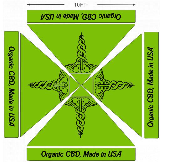 American Phoenix 10 x 10 Custom Canopy with Your Logo Graphics - American Phoenix