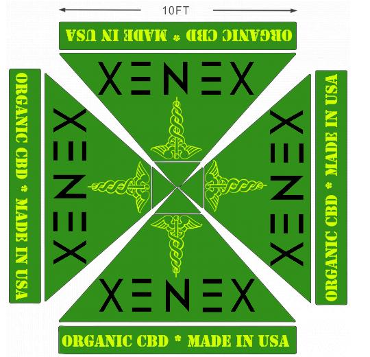 American Phoenix 10 x 10 Custom Canopy with Your Logo Graphics - American Phoenix