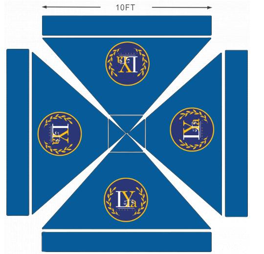 American Phoenix 10 x 10 Custom Canopy with Your Logo Graphics - American Phoenix
