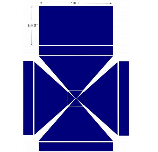 American Phoenix 10 x 10 Custom Canopy with Backdrop
