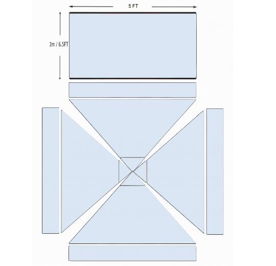 American Phoenix 5 x 5 Custom Canopy with Backdrop
