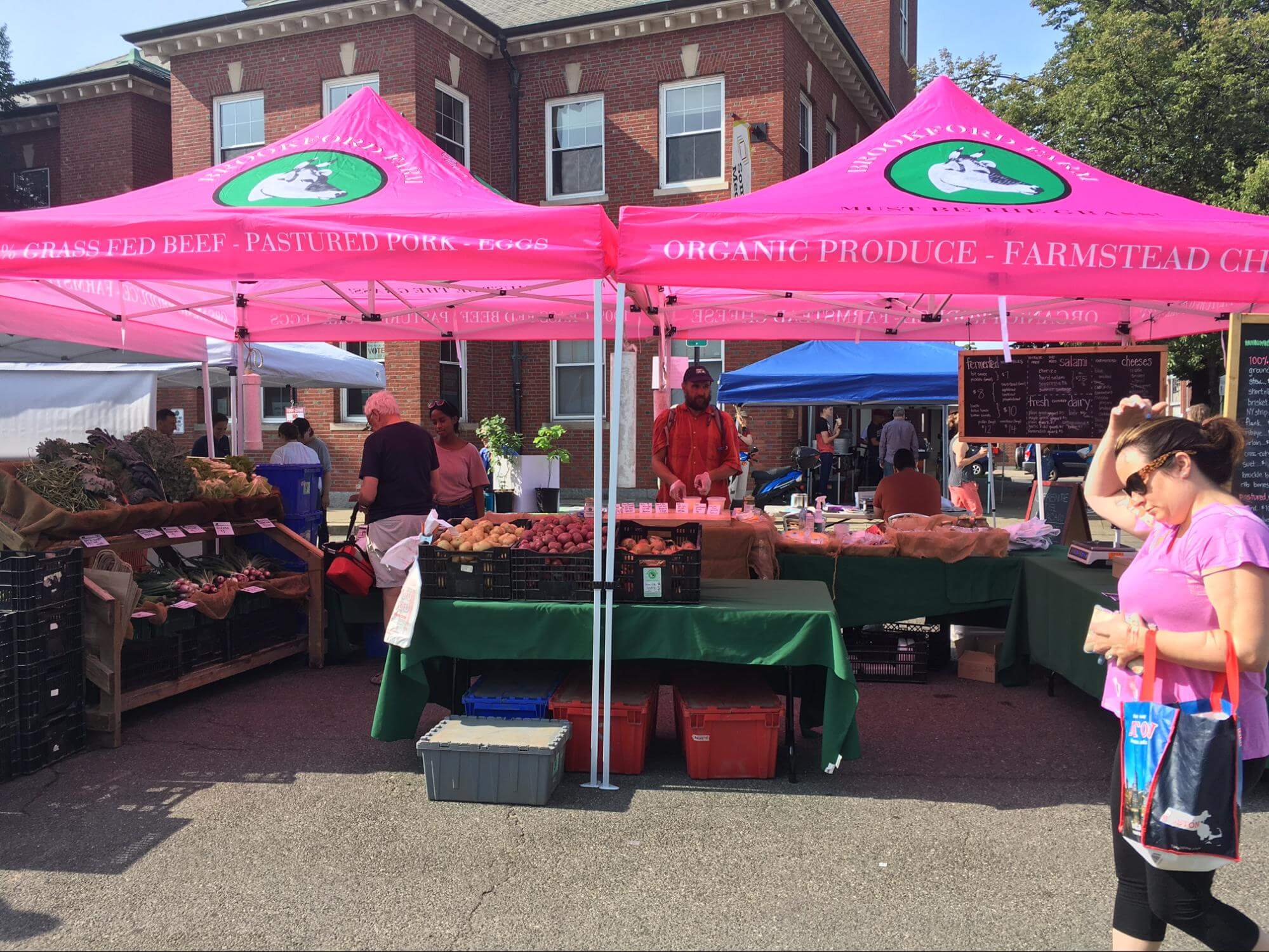 Custom Canopy Tents for Your Business